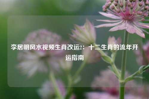 李居明风水视频生肖改运2:十二生肖的流年开运指南