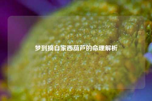 梦到摘自家西葫芦的命理解析